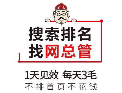 搜索排名专家-网总管