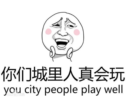 2015年十大网络用语