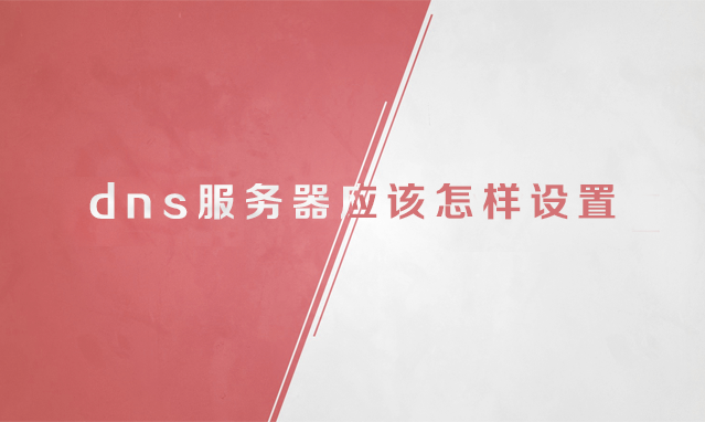 dns服务器