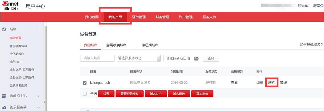 新网域名解析