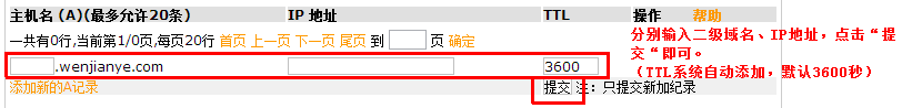 新网域名解析
