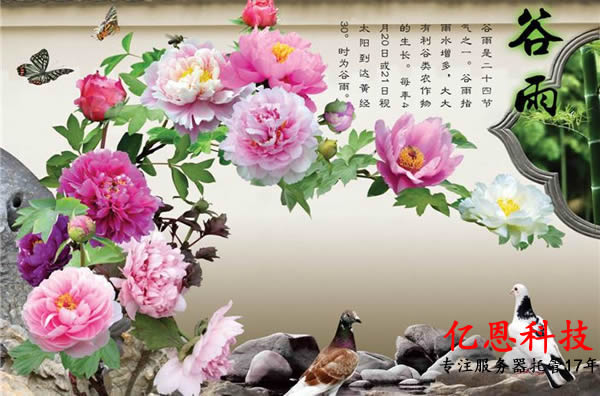 亿恩科技专注服务器托管17年