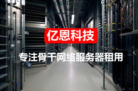亿恩科技专注服务器托管17年